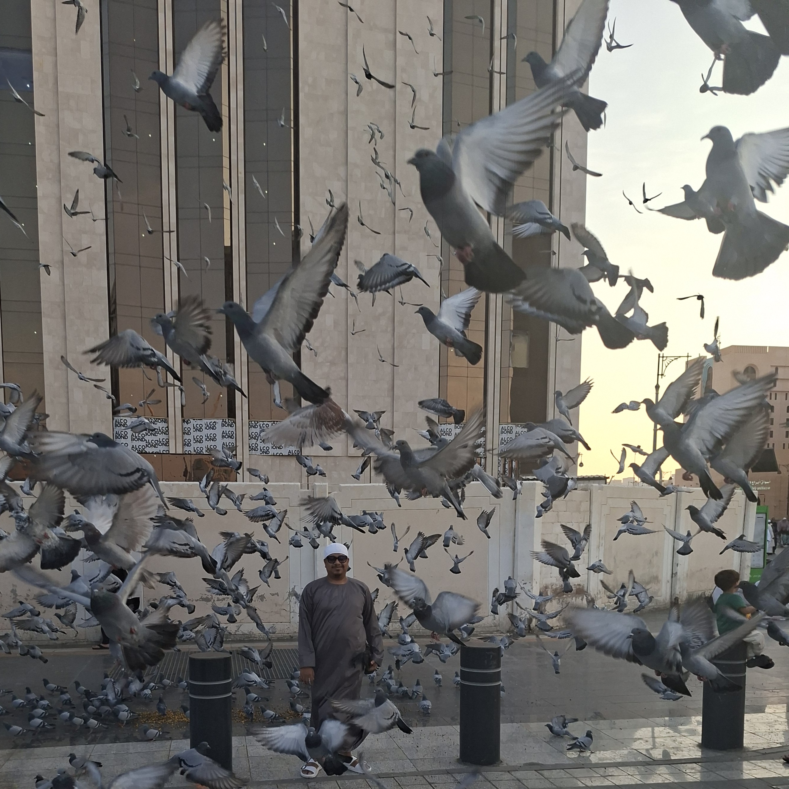 Saudi Arabia (4)